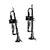 trompettes
