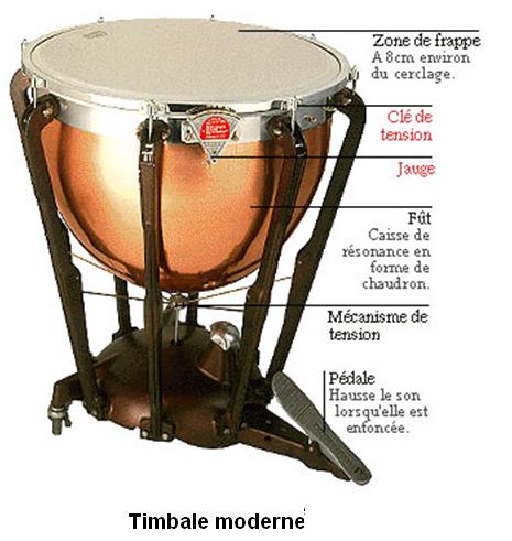Timbale moderne.JPG